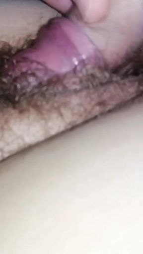desir of hairy bush   Clip 1