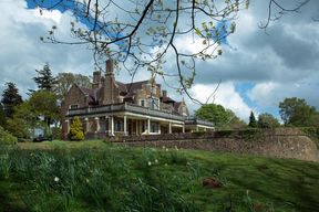 The Mademoiselle's Stallions