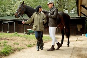 The Mademoiselle's Stallions