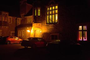 The Mademoiselle's Stallions