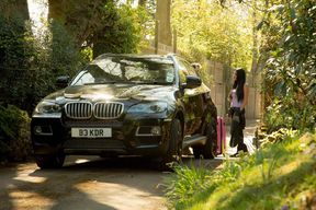 The Mademoiselle's Stallions