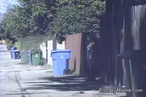 Vintage Swallow Asian Cutie Hooker Fantasy