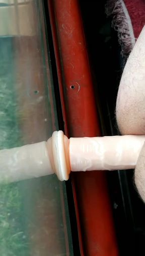 Having fun in Iashina