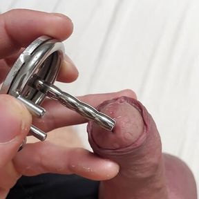 Releasing micro chastity cage with penis plug