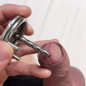 Releasing micro chastity cage with penis plug