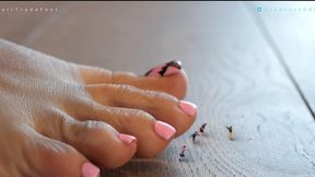 Giantess Fair Trade - Tiny Tresspassers Pt 3