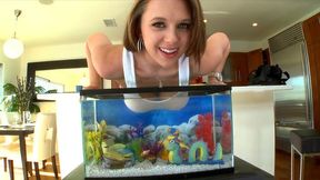 Beauty dives XXX melons into the fish tank then takes off white top