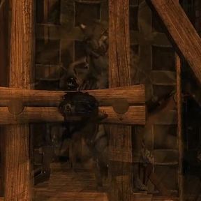 Khajiit Bound and Used in Dungeon