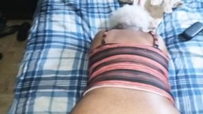 Pre Cum On Wife Ass &amp; Panty