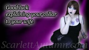 Good luck explaining your collar to your Wife - MP4 HD 1080p