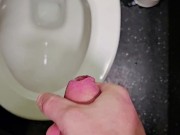 Public restroom wank with cumshot