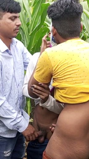 Indian Pooja Shemale Boyfrends Took A New Friends To Pooja  Corn Field Today And Three Frends Had A Lot Of Fun In Sex   Clip 1