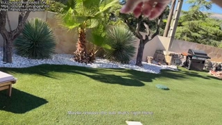 Prank Gardener - I get fucked by his big cock and take a huge facial cumshot