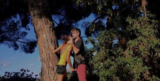 Walk in a Park