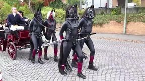 ponygirls and ponyboys outdoor