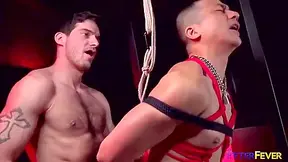 Tied Up I *nicer With Peter Fever