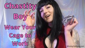 Chastity Boy - Wear Your Cage to Work