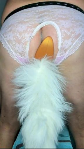 My new Tail, is deeply and firmly anchored