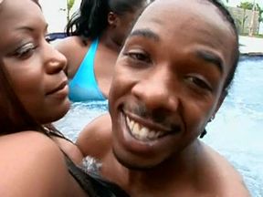 Orgy World Brown And Round 11