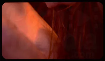 Karlee Grey & Jillian Janson’s Passionate Lesbian Reunion Members favorite