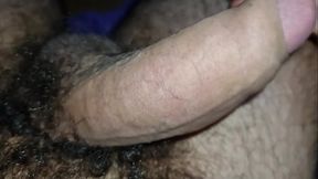Peludo dando leitinho para voc&ecirc_s