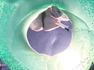 Watching Underwater