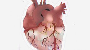 Stethoscope recording, heart sounds, digesting sounds in less intensity