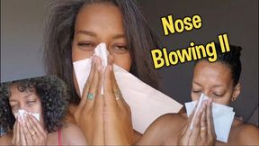 Nose Blowing II