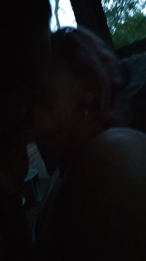Roadtrip sex