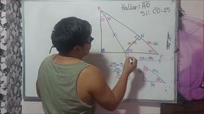 10 Trigonometry Triangles Remarkable Exercises