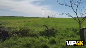 Wendy Marvell & Mark & Stanley Johnson get wild in Deep Green Field of Experiments