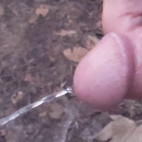 Public Cruising, Pissing, Walking with Cock Out in Woods - Rockard Daddy