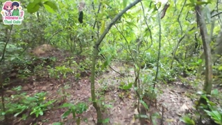 Thai teenager walks around picking mushrooms and gets fucked in the pussy. Thai audio.