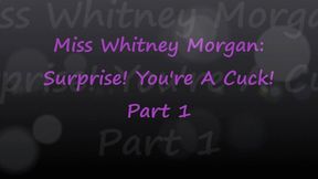 Miss Whitney Morgan: Surprise You're A Cuck part 1 - mp4