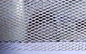 She is her prison bitch