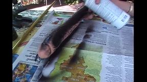 Gentle Caresses, Fiery Passion