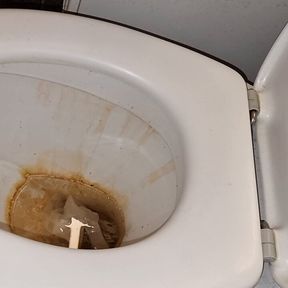 Cleaning nasty toilet in Rubber