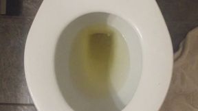 I PISS GOLD I WEIGH GOLD USING A CALCULATOR