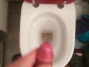 Just a cumshot over the toilet bowl