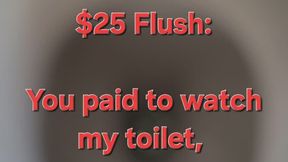 Rip-Off #14: $25 Flush - You paid to watch my toilet, loser