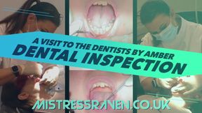 1157 Dental Inspection A Visit to The Dentists By Amber