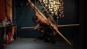Beautiful Zeus Bound in Jute Shibari Elegance to Powerless Predicament Strain