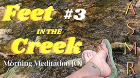Feet in a Creek: Morning Meditation ASMR JOI Timer #3 | Relaxing Femdom Foot Worship with Cum Countdown | Flip Flops & Painted Toes Out
