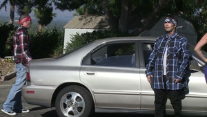 Zero Tolerance: Hollywood Meets X-Rated