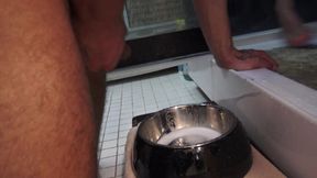 Romantic Sex Shower - and He Has to Watch, Jerk off in the Dog Bowl, and Drink It!
