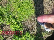 Una bella pisciata in giardino