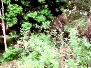 Donna Wetlands: A Pee Adventure