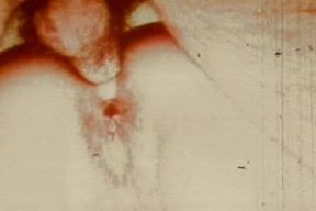 Sepia Vintage Anal Loop with Close-up Retro Backdoor Worship