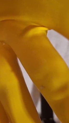 Dream Ofevolutionvip.de Latex Gloves