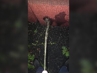 Pissing On The Chair 《4k》